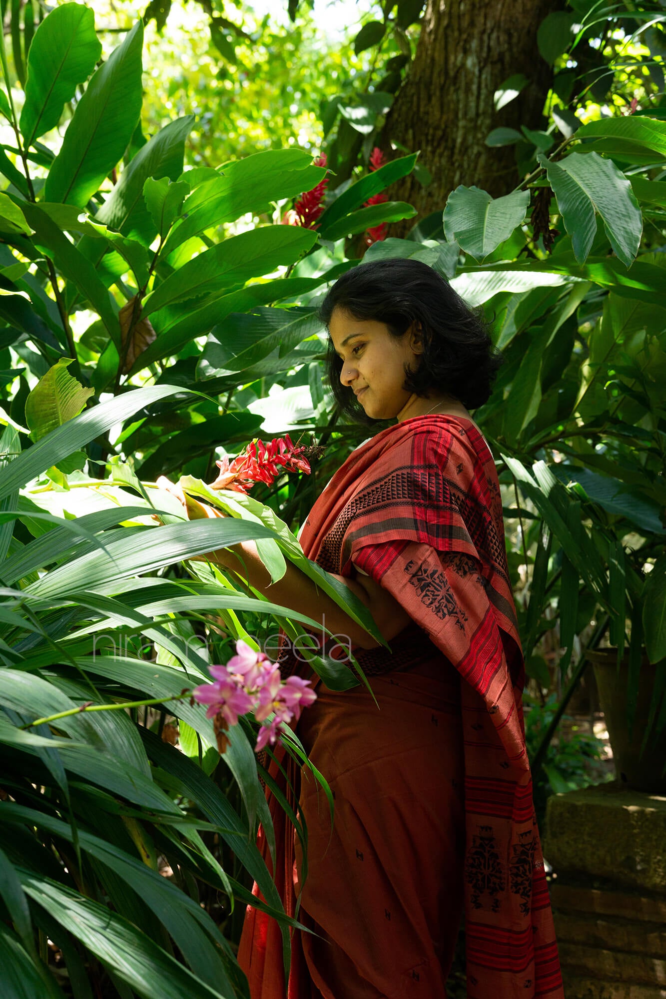WEAVE- SAUSAR | Niram Neela